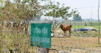 Nhiều người dân tại TP HCM sẽ thoát quy hoạch "treo"