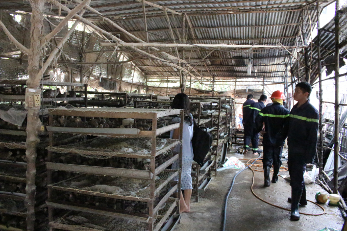 Lực lượng PCCC c&oacute; mặt dập tắt đ&aacute;m ch&aacute;y