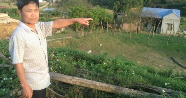 Nhịp cầu bạn đọc Plus số 2: Có sổ đỏ hơn 10 năm bỗng dưng bị kiện rồi mất luôn đất?