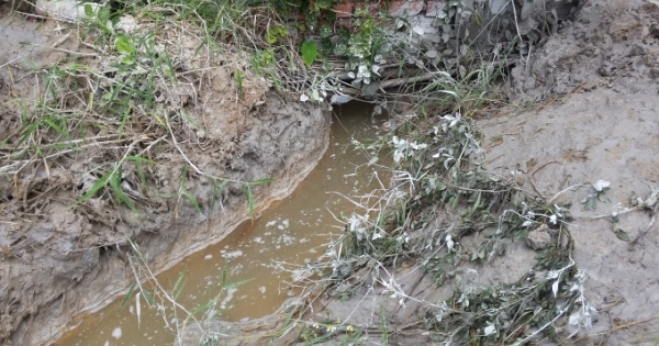 TP HCM: Người dân tố doanh nghiệp xả thải "đầu độc" khu dân cư