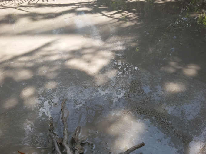 Chất thải h&agrave;ng ng&agrave;y được xả trực tiếp ra m&ocirc;i trường.