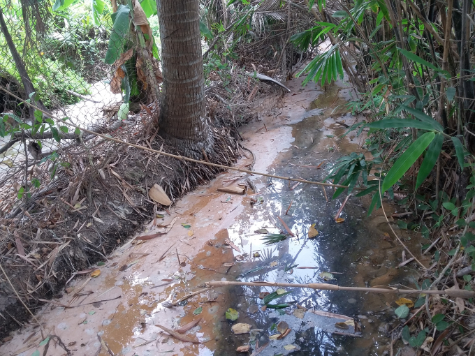 C&acirc;y cối dần chết trụi v&igrave; chất thải độc hại.