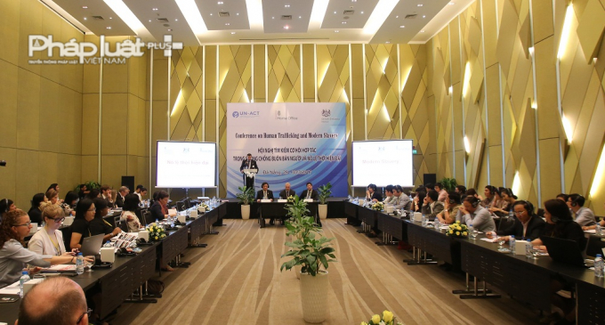 Hội nghị c&oacute; sự tham gia của hơn 100 chuy&ecirc;n gia trong nước, quốc tế.