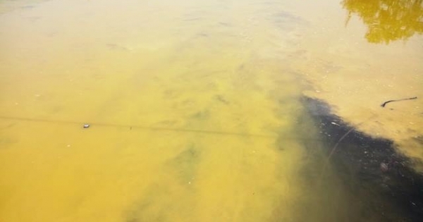 Thừa Thiên - Huế: Đã tìm ra nguyên nhân xuất hiện dải nước màu vàng ở cảng biển Chân Mây