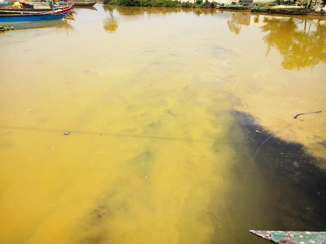 Vệt nước mầu v&agrave;ng xuất hiện ở v&ugrave;ng biển Ch&acirc;n M&acirc;y-Lăng C&ocirc; ng&agrave;y 23/3.