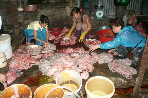 Ảnh minh họa nguồn internet.