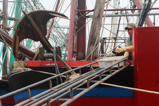 Những con thuyền trở về đều đầy ắp