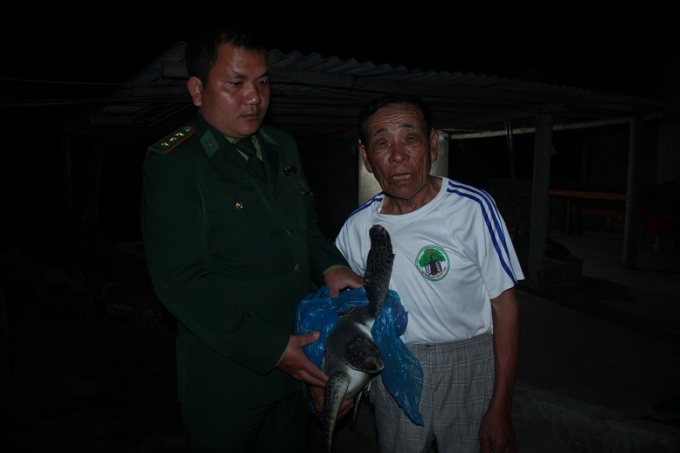 C&aacute;n bộ Bi&ecirc;n ph&ograve;ng đ&atilde; tiếp nhận v&agrave; thả ch&uacute; r&ugrave;a qu&yacute; về biển.