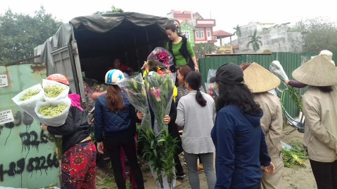 Do ảnh hưởng của thời tiết, hoa ly nở kh&ocirc;ng đ&uacute;ng dịp tết người trồng hoa b&oacute; hoa th&agrave;nh từng b&oacute; rồi mang ra vỉa h&egrave; tr&ecirc;n đường Lạc Long Qu&acirc;n, T&acirc;y Hồ b&aacute;n với gi&aacute; rẻ.