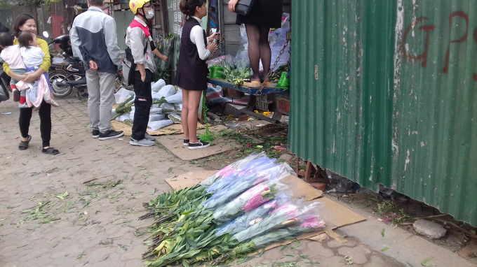 Những b&oacute; hoa ly vứt vạ dưới nền đất.