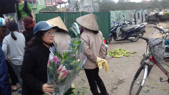 Cũng theo chủ vườn, b&igrave;nh thường hoa l&yacute; c&oacute; gi&aacute; từ 20.000 đến 30.000/1 c&agrave;nh. Nhưng nay rớt gi&aacute; chỉ c&ograve;n 5.000 đồng/1 c&agrave;nh.