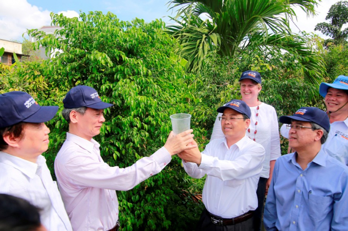 Muỗi vằn sẽ ph&ograve;ng chống tốt bệnh sốt xuất huyết.