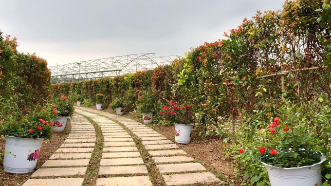 Tặng v&eacute; miễn ph&iacute; tại c&ocirc;ng vi&ecirc;n m&ecirc; cung v&agrave; đảo hoa hồng nh&acirc;n ng&agrave;y 8/3