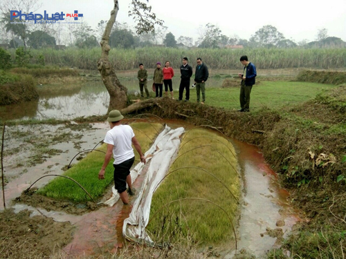 Sau khi l&agrave;m đơn tố c&aacute;o những sai phạm của nguy&ecirc;n trưởng th&ocirc;n L&ecirc; Thế Đức, b&agrave; L&yacute; li&ecirc;n tục bị đe dọa h&agrave;nh hung v&agrave; bị ph&aacute; hoại keo, ng&ocirc;, mạ non.