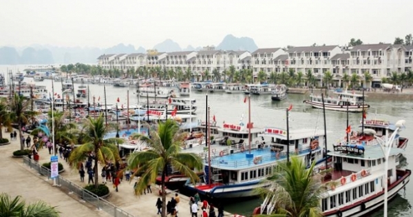 Quảng Ninh: Cương quyết xử lý các tàu du lịch vi phạm quy chế hoạt động