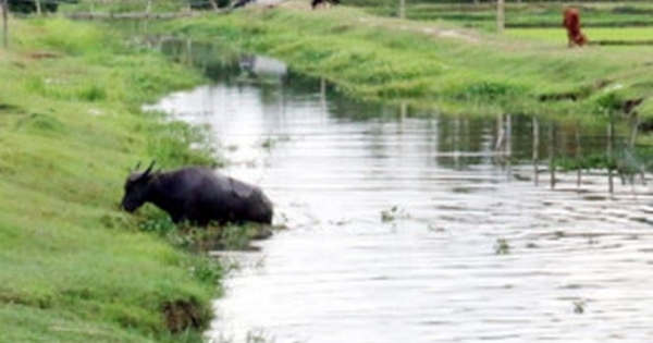 Thừa Thiên Huế: Bé gái 11 tuổi bị mất tích khi đi chăn trâu cách nhà 2km