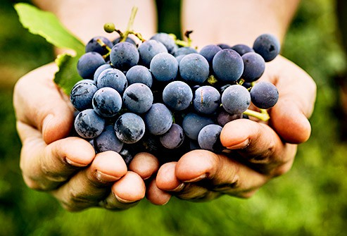 Những loại tr&aacute;i c&acirc;y chứa nhiều v&agrave; &iacute;t đường nhất