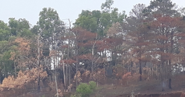 Đắk Nông: Bắt chủ tịch UBND xã nhận hối lộ của “lâm tặc’’