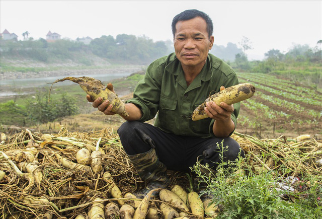 &Ocirc;ng Đinh Văn Khanh, một người n&ocirc;ng d&acirc;n tại c&aacute;nh đồng x&atilde; Tr&aacute;ng Việt chia sẻ: