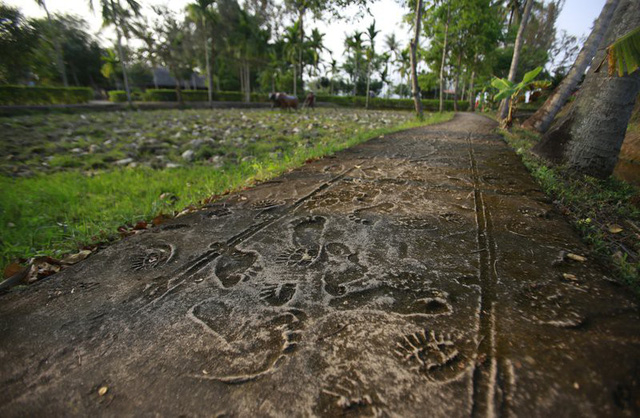&Ocirc;ng Pham Thanh Cong chỉ v&agrave;o vết sẹo tr&ecirc;n đầu do tr&uacute;ng mảnh đạn trong vụ thảm s&aacute;t Mỹ Lai (Ảnh: AP)