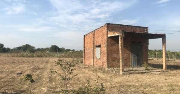 Chuyển nhượng quyền sử dụng đất trái pháp luật lại được Tòa công nhận?