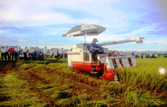 Quảng Ng&atilde;i ph&acirc;n bổ 394,2 tỷ đồng gia x&acirc;y dựng n&ocirc;ng th&ocirc;n mới (Ảnh minh họa).