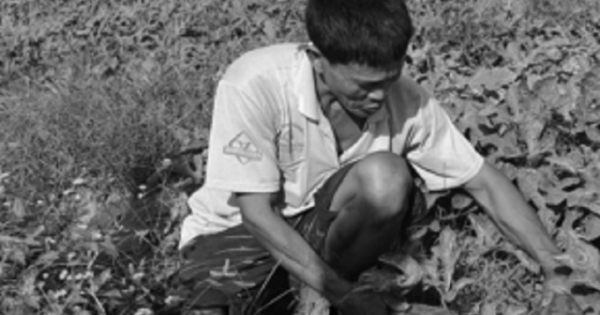 Bất bình trước thói côn đồ đòi "bảo kê" cả ruộng dưa hấu của dân đen