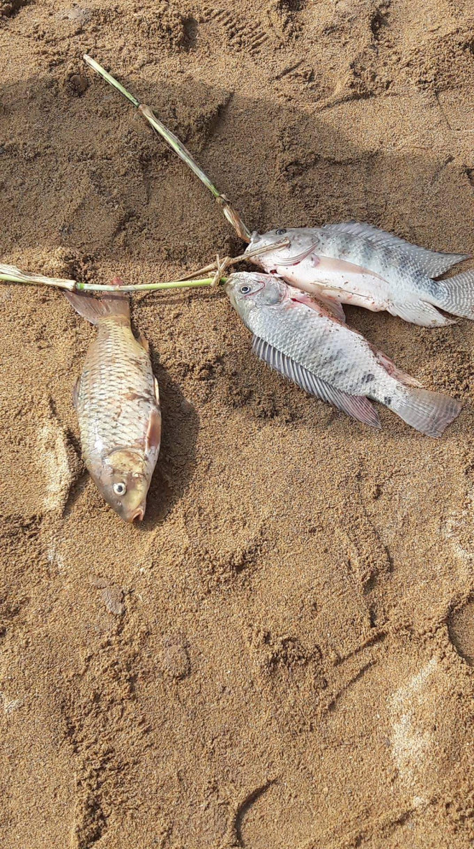 &nbsp;Vị tr&iacute; c&oacute; c&aacute; chết theo b&aacute;o c&aacute;o của Đồn c&ocirc;ng an x&atilde; Tam L&atilde;nh,&nbsp;c&aacute;ch điểm bờ hồ bị vỡ khoảng 01 km