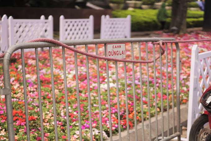 Ph&aacute; r&agrave;o,