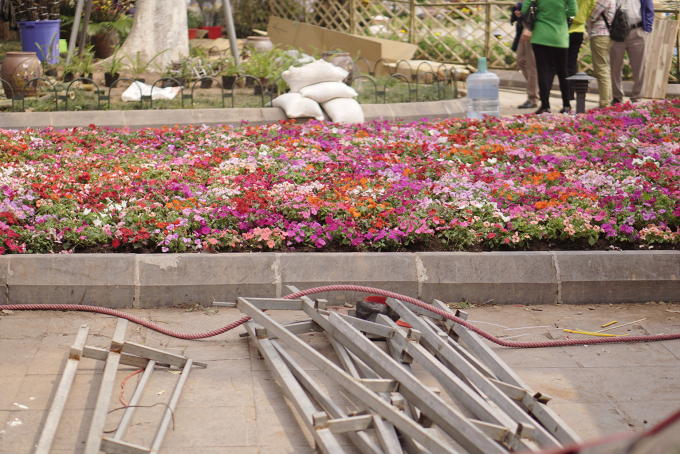 Ph&aacute; r&agrave;o,