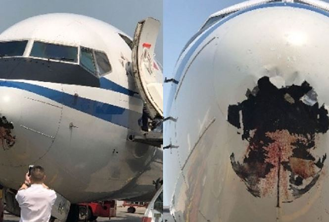 Chiếc m&aacute;y bay của h&atilde;ng h&agrave;ng kh&ocirc;ng Air China thủng lỗ lớn sau khi va chạm với chim. Ảnh: Weibo