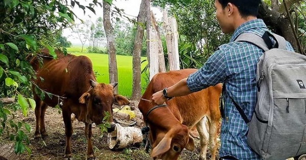 Cán bộ 