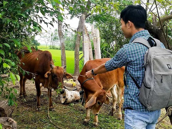 C&aacute;n bộ 'xẻ thịt' b&ograve; ch&iacute;nh s&aacute;ch