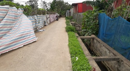 Hiện trường bờ mương nơi xảy ra sự việc.