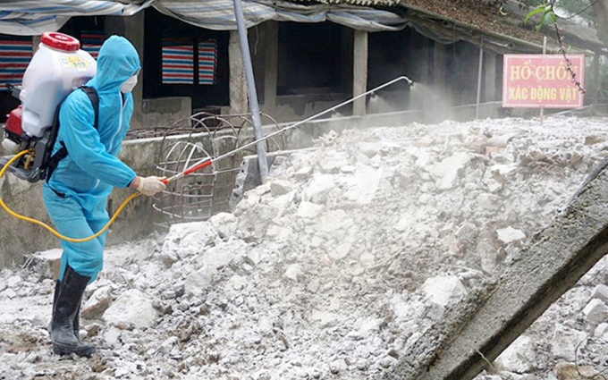 C&aacute;n bộ th&uacute; y huyện Y&ecirc;n &ETH;ịnh (Thanh H&oacute;a) phun h&oacute;a chất ti&ecirc;u độc, khử tr&ugrave;ng chung quanh khu vực ch&ocirc;n lấp lợn bệnh.&nbsp;