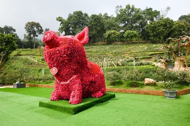 Ch&uacute; Lợn được kết bằng&nbsp;10.500&nbsp;hoa hồng tươi lớn nhất Vi&ecirc;t Nam.