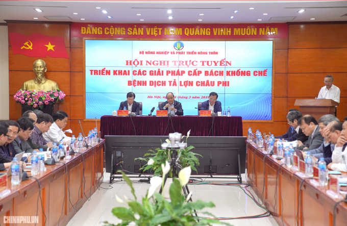 Hội nghị trực tuyến triển khai c&aacute;c giải ph&aacute;p cấp b&aacute;ch khống chế bệnh dịch tả lợn Ch&acirc;u Phi.