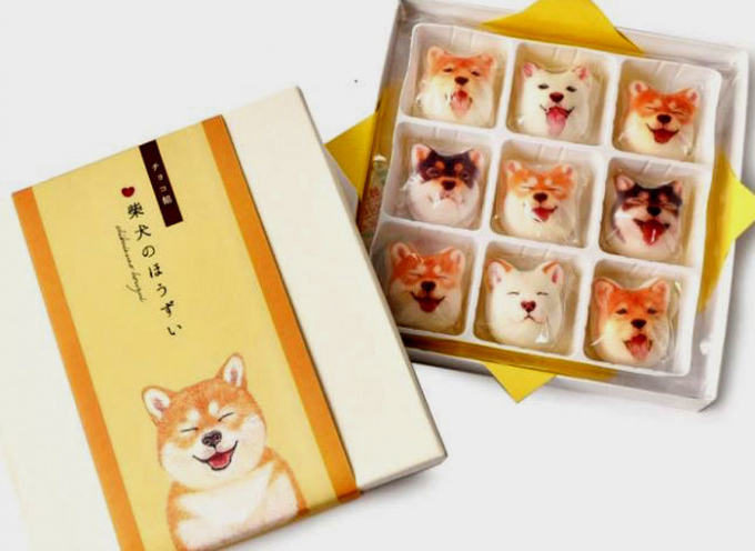 Một hộp k&eacute;o ch&oacute; shiba 9 vi&ecirc;n c&oacute; gi&aacute; l&ecirc;n&nbsp;tới 500.000 đồng