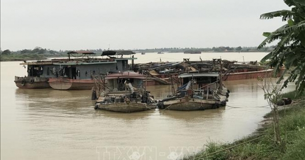 Hải Dương: Khai thác cát trái phép, một cá nhân vừa bị phạt tiền lại phải đổ cát về nơi "ăn cắp"