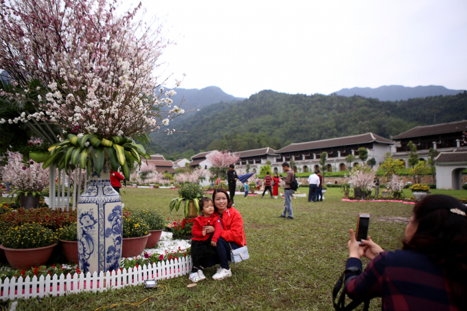 Rực rỡ sắc hoa Anh Đ&agrave;o giữa n&uacute;i rừng Y&ecirc;n Tử