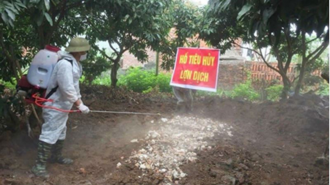 Việc ti&ecirc;u hủy được thực hiện đ&uacute;ng quy định của ng&agrave;nh th&uacute; y.