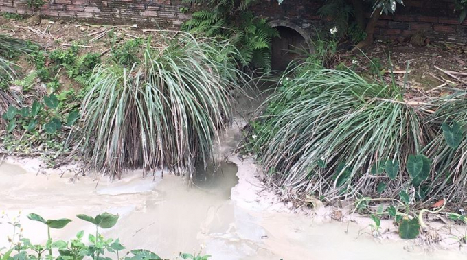 Nước thải từ trạm trộn b&ecirc; t&ocirc;ng xả thẳng ra m&ocirc;i trường.