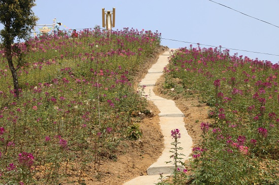 Trong lịch sử, đ&egrave;o Pha Đin l&agrave; tuyến huyết mạch tiếp vận quan trọng vũ kh&iacute; đạn dược v&agrave; lương thực cho chiến dịch Điện Bi&ecirc;n Phủ. Đ&egrave;o Pha Đin đ&atilde; trở th&agrave;nh một biểu tượng của tinh thần gan dạ quyết tử cho Tổ quốc quyết sinh của qu&acirc;n v&agrave; d&acirc;n ta trong cuộc kh&aacute;ng chiến chống thực d&acirc;n Ph&aacute;p x&acirc;m lược. Đ&acirc;y từng l&agrave; nơi hứng chịu nhiều bom đạn đổ xuống. Tr&ecirc;n đỉnh đ&egrave;o Pha Đin hiện c&ograve;n tấm bia ghi lại dấu ấn lịch sử n&agrave;y.