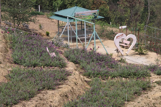 Chi&ecirc;m ngưỡng cảnh đẹp hoang sơ tr&ecirc;n đỉnh đ&egrave;o Pha Đin huyền thoại