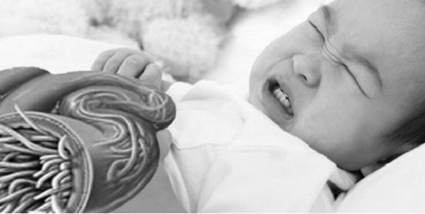 Muốn loại bỏ thực phẩm bẩn, cần thức tỉnh lương tâm