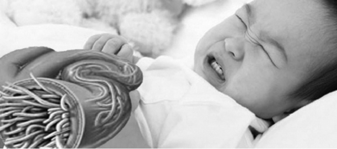 H&igrave;nh minh họa.