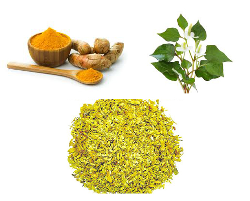 Ngư tinh thảo&nbsp;