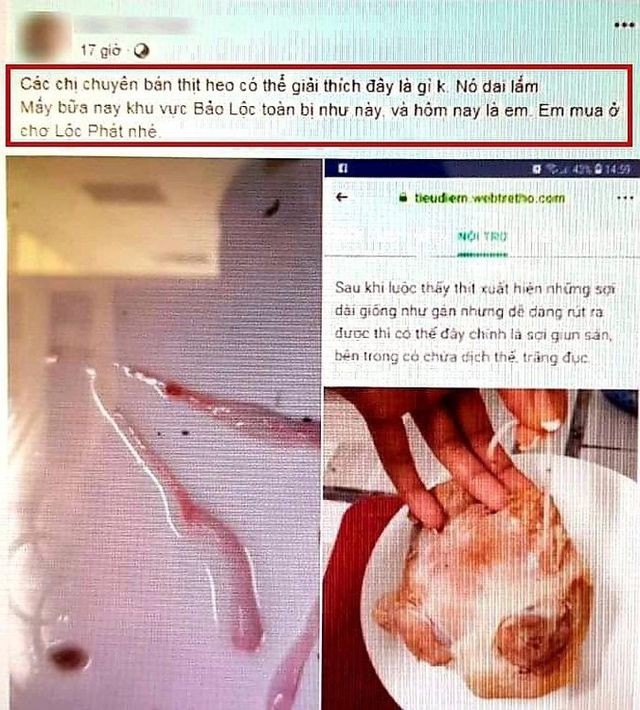 H&igrave;nh ảnh v&agrave; th&ocirc;ng tin về bệnh heo nhiễm s&aacute;n b&agrave; H. đăng l&ecirc;n facebook của m&igrave;nh khiến nhiều người hoang mang.