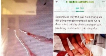 Bị phạt 10 triệu đồng vì đăng Facebook sai sự thật về việc "heo nhiễm sán"