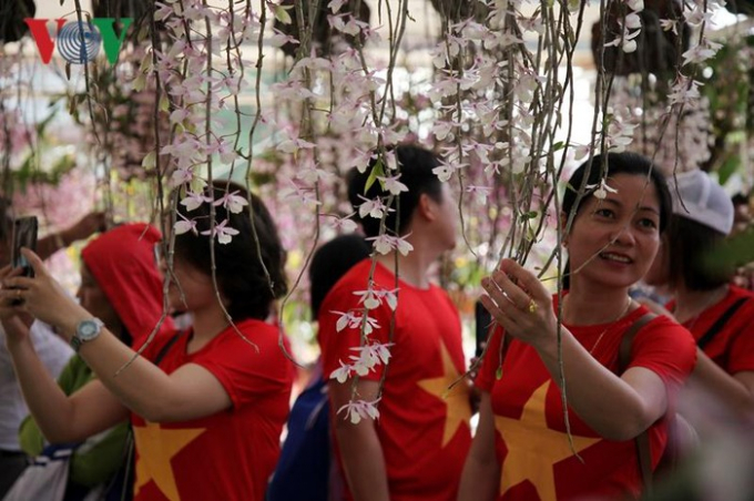 Những c&aacute;i t&ecirc;n Ho&agrave;ng thảo trầm, Ho&agrave;ng thảo k&egrave;n, phi điệp... l&agrave; những lo&agrave;i lan đặc trưng ở Lai Ch&acirc;u